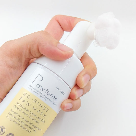 No-rinse Dog Paw Wash